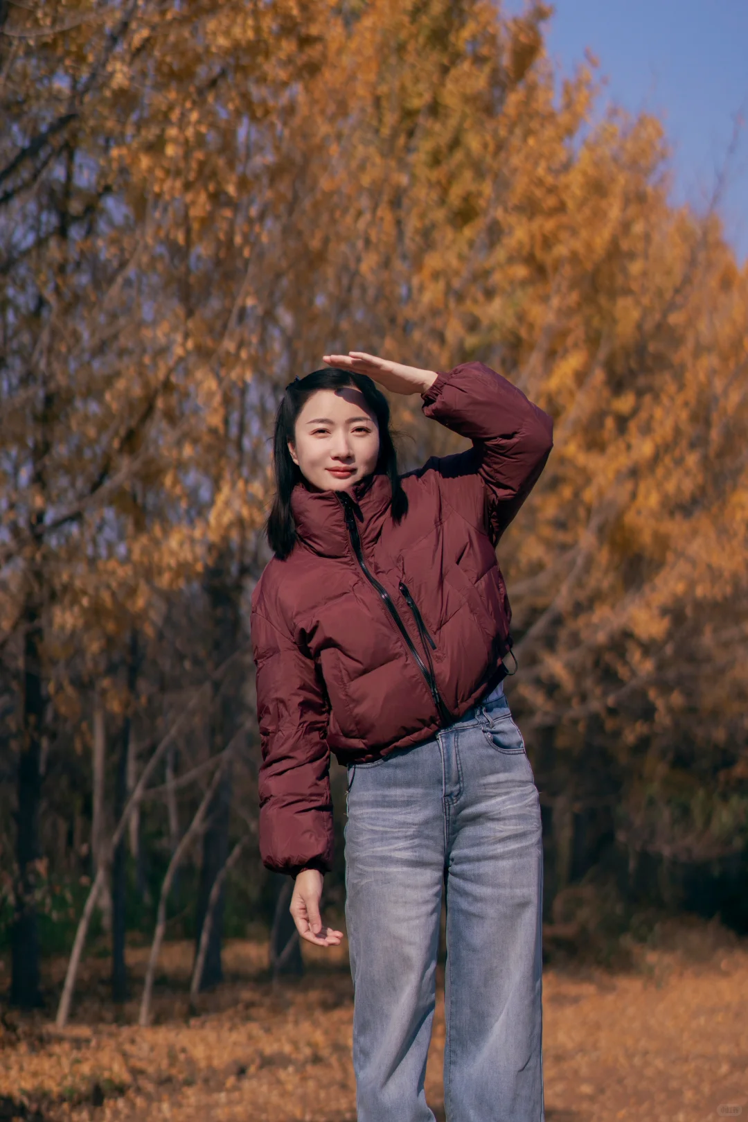 初冬的银杏格外迷人，你拍了吗？