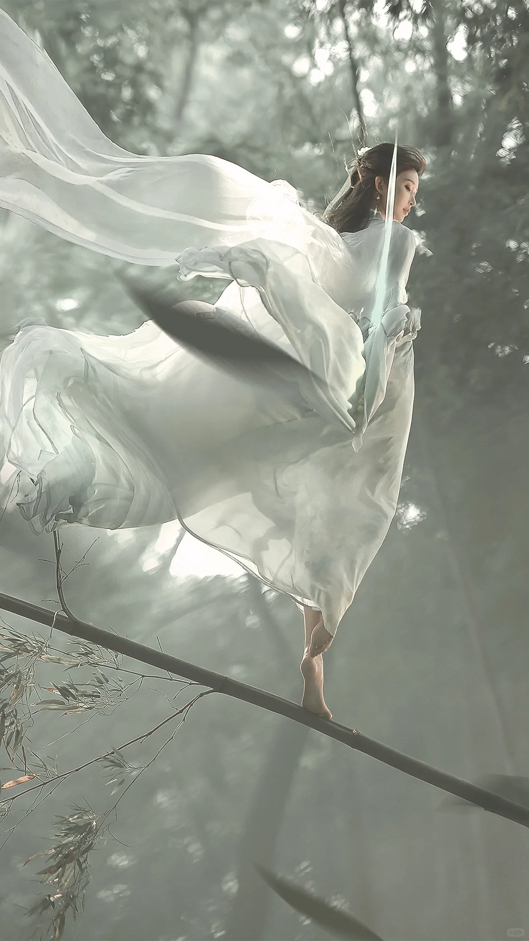 一袭青衣，竹林剑仙