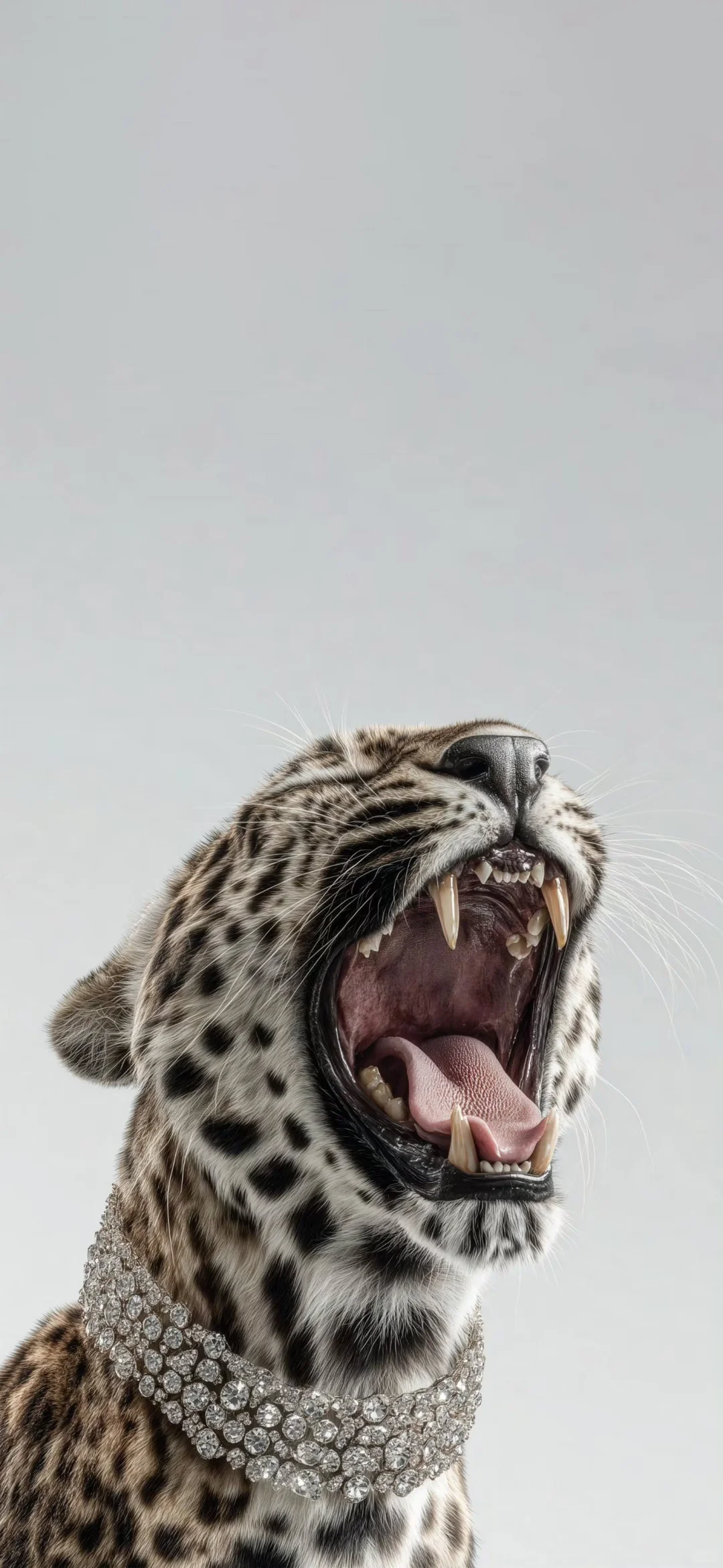 visual feast｜锁屏壁纸