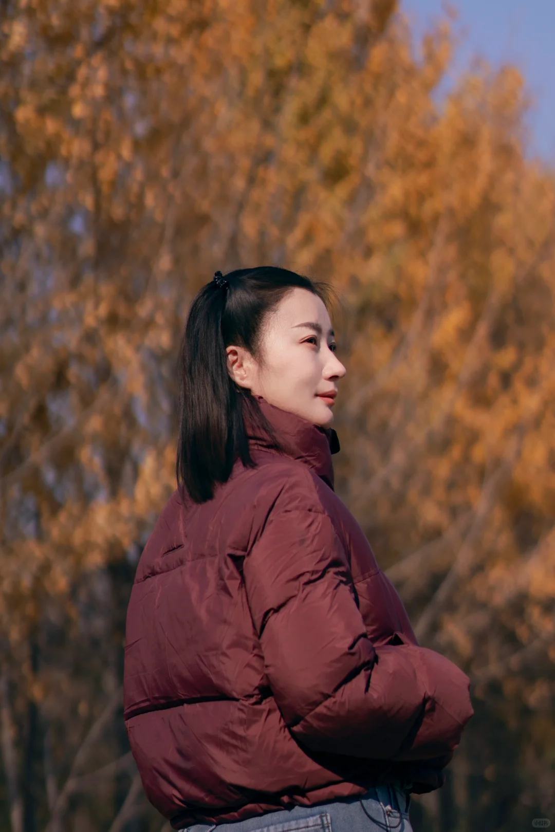 初冬的银杏格外迷人，你拍了吗？