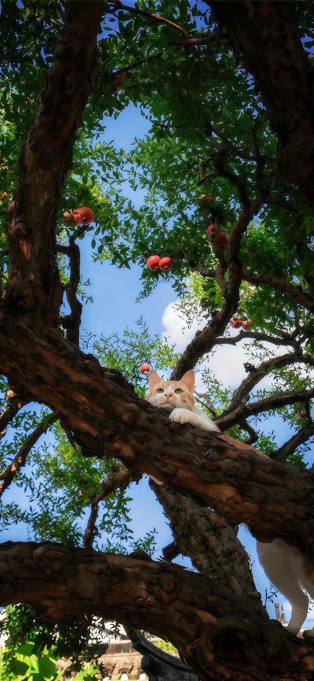 适合🍎苹果ios26裸眼3D高清全屏壁纸