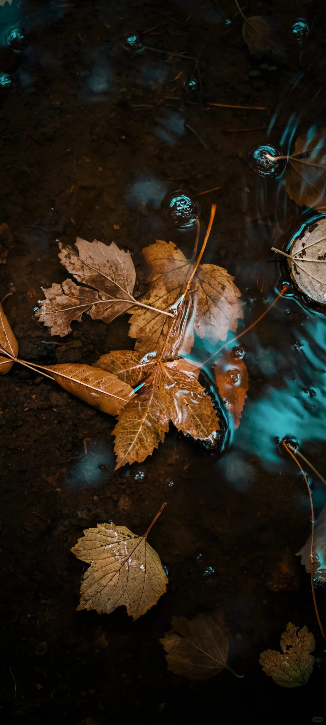 今日壁纸丨小众高质量美景壁纸