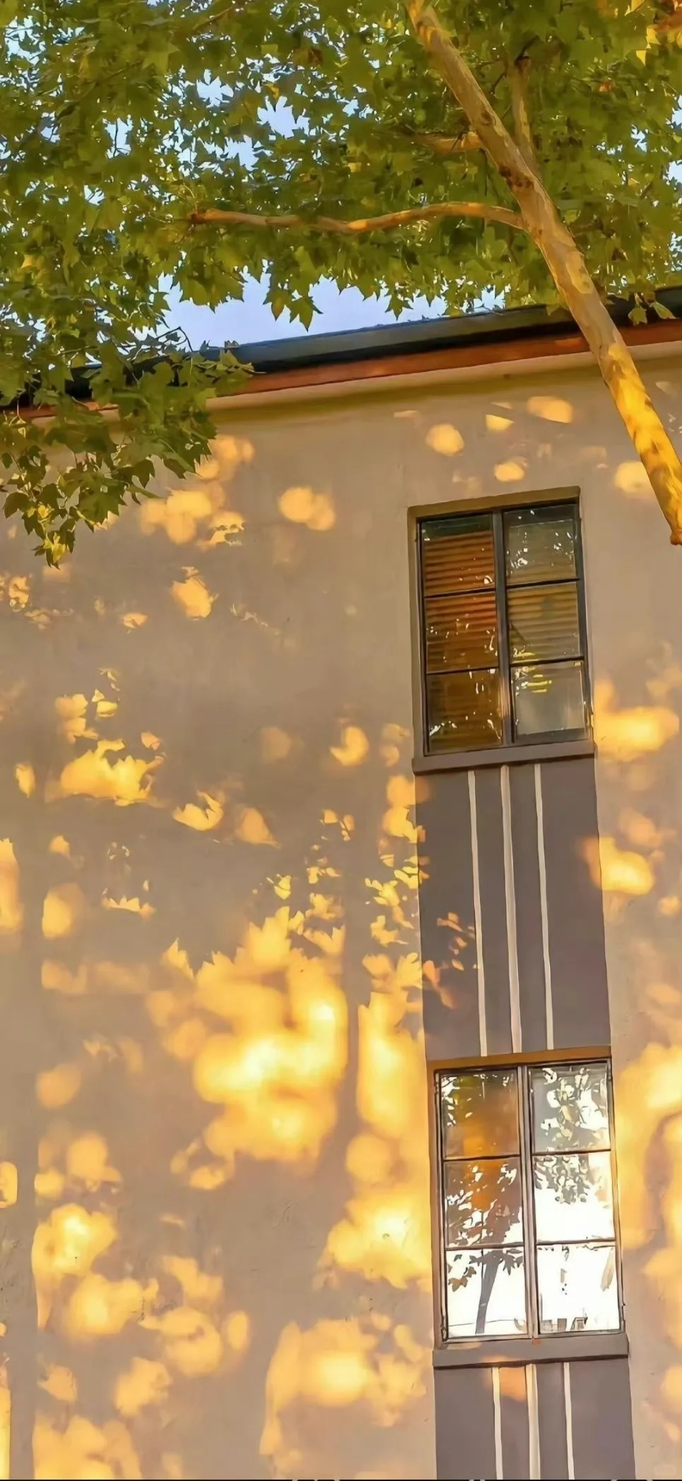 share🍥|秋冬壁纸⊹✮₊⋆