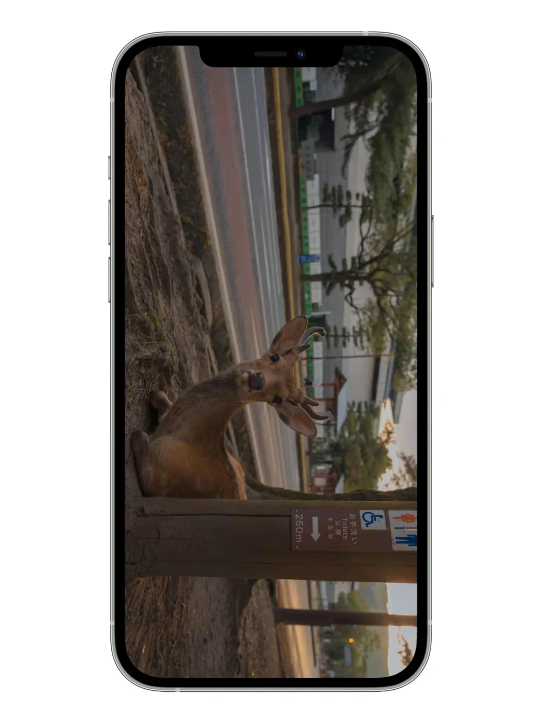 再来一波日系实拍壁纸～