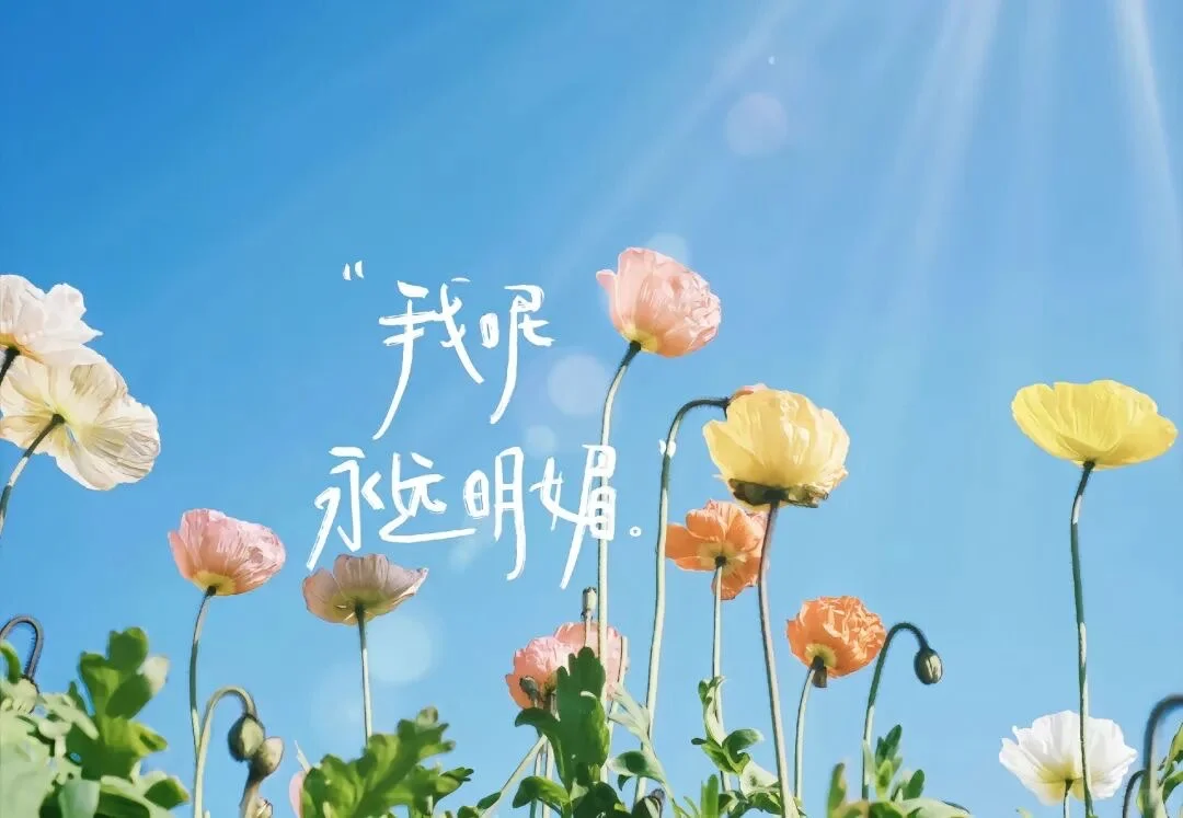 申请成为你的电脑壁纸～