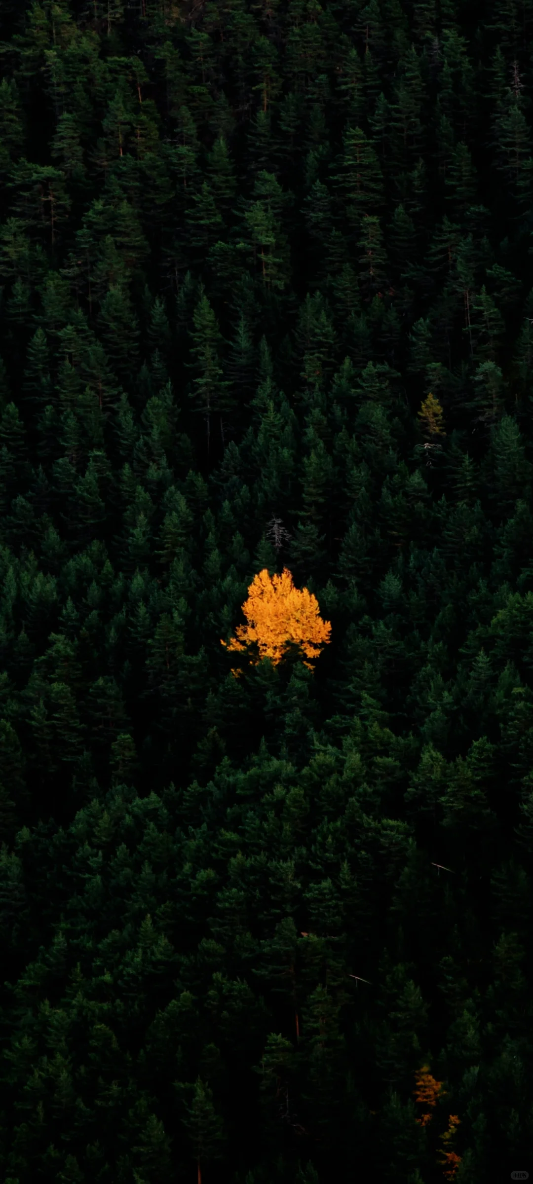 今日壁纸丨小众高质量美景壁纸