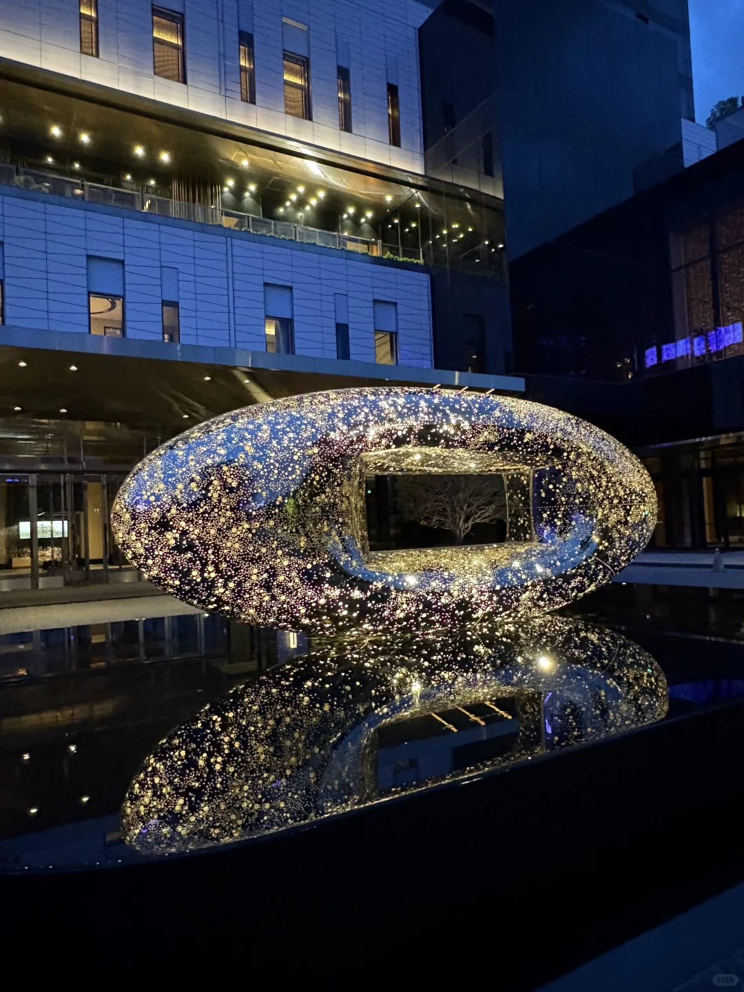 西安游泳🏊‍♀️女教练教游泳啦！！！