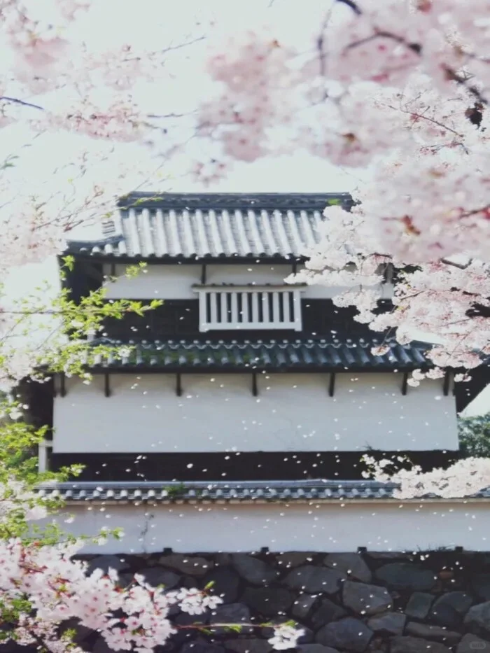 日系壁纸：今天的壁纸被风景包围了！