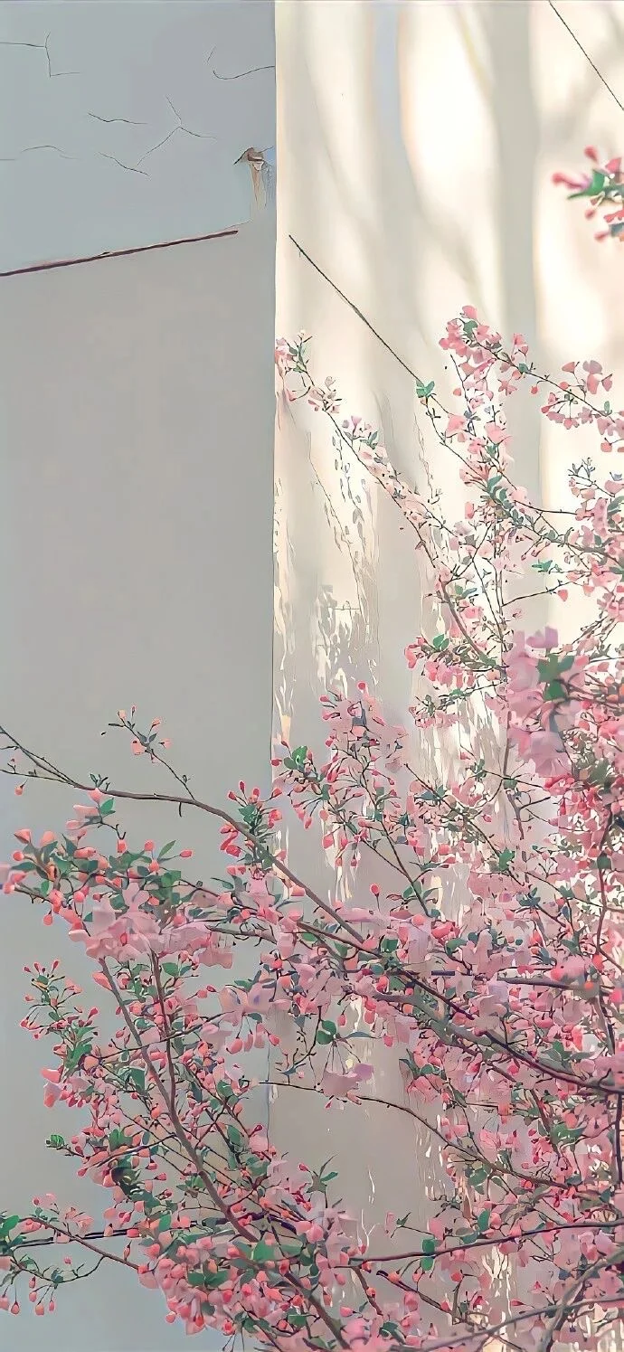 小众背景图/治愈系