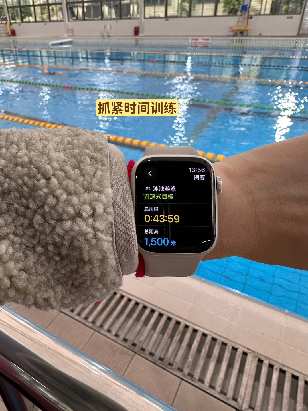 30+女律师，下半年全在赛场！维港泳我来了！