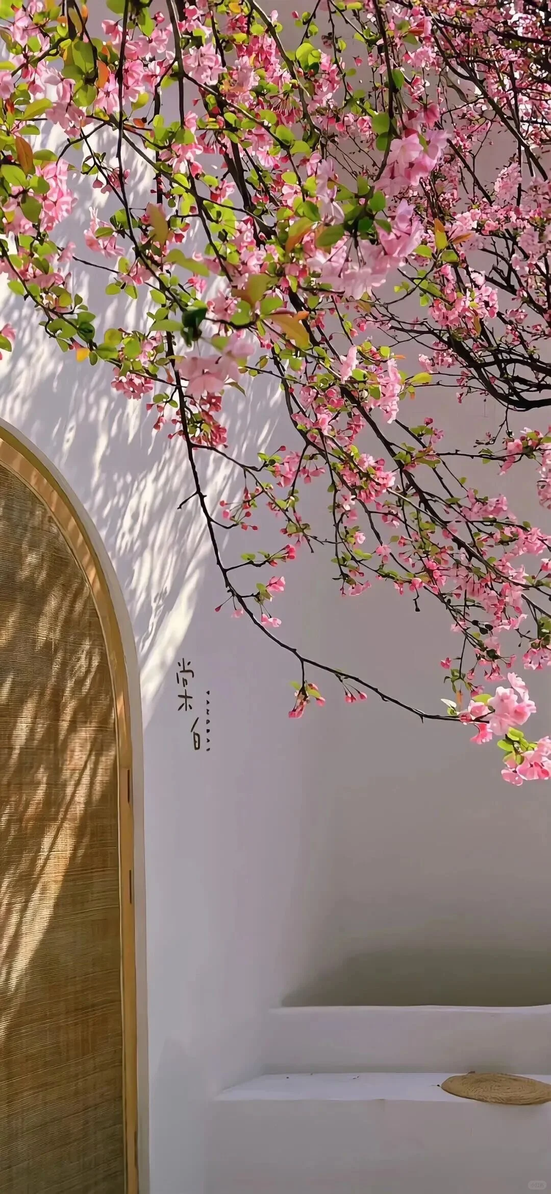 小众背景图/治愈系