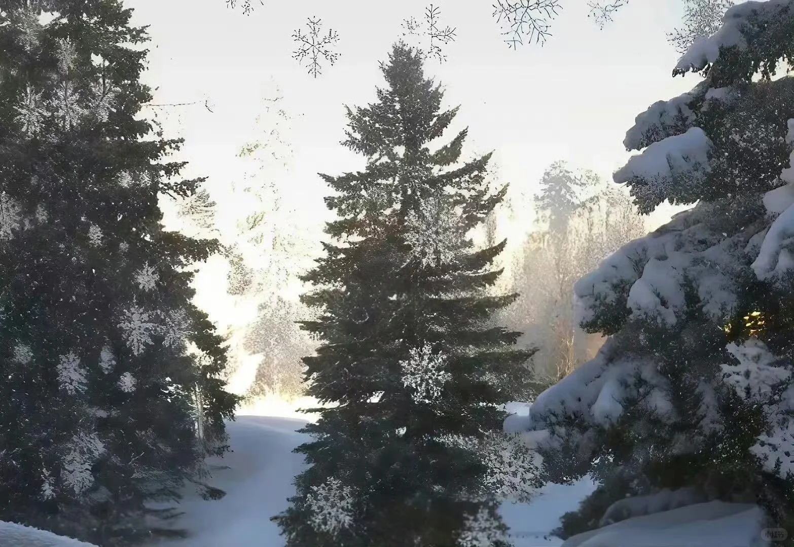 氛围感壁纸｜高级感十足的ipad壁纸