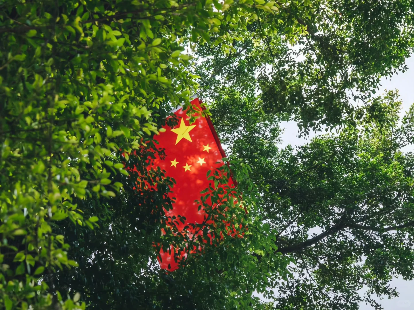 每一刻都想为我们的祖国点赞