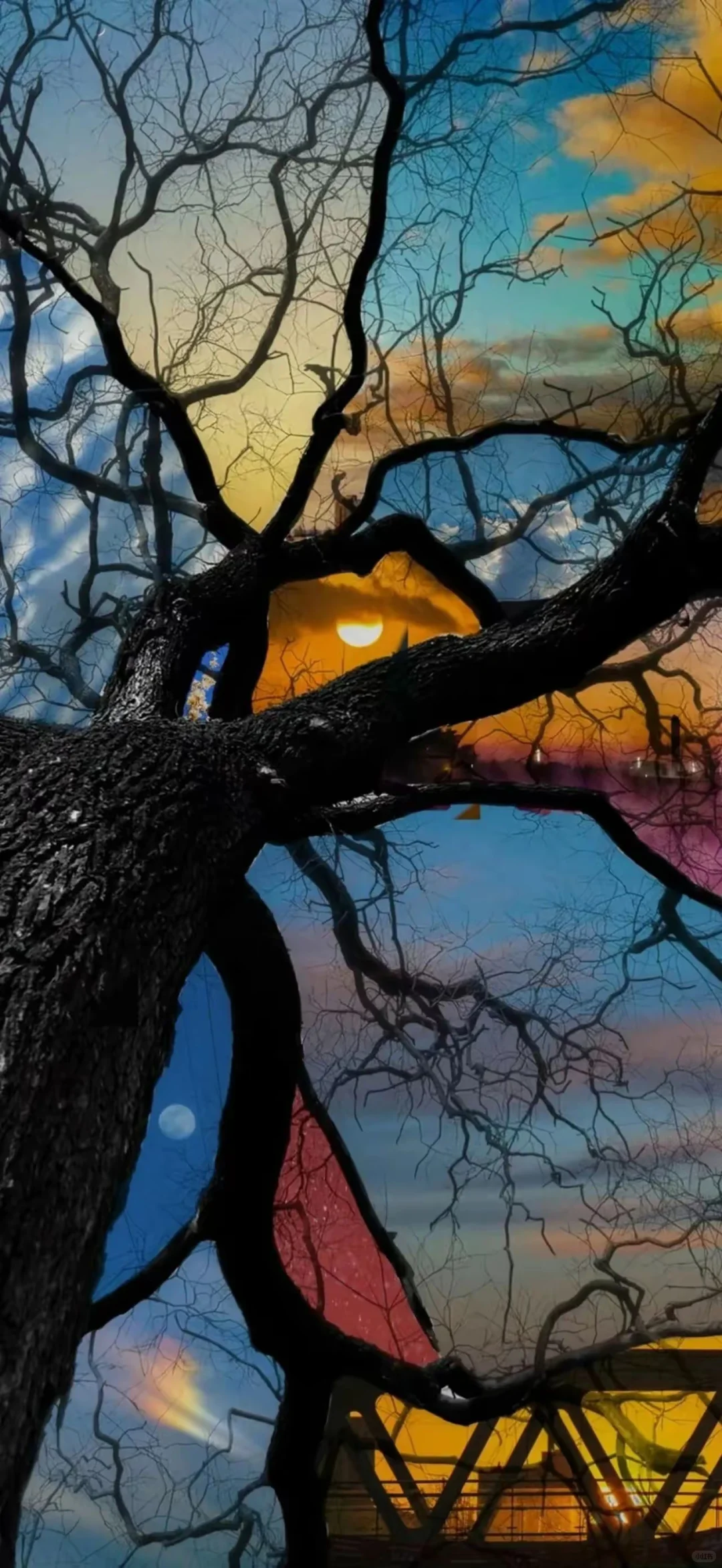 𝐒𝐡𝒂𝒓𝒆｜高清小众壁纸