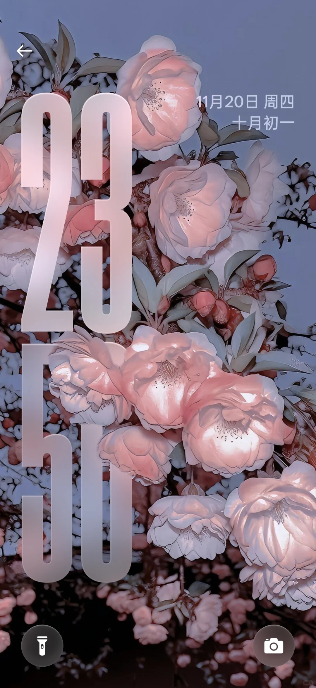 超喜欢的景深壁纸