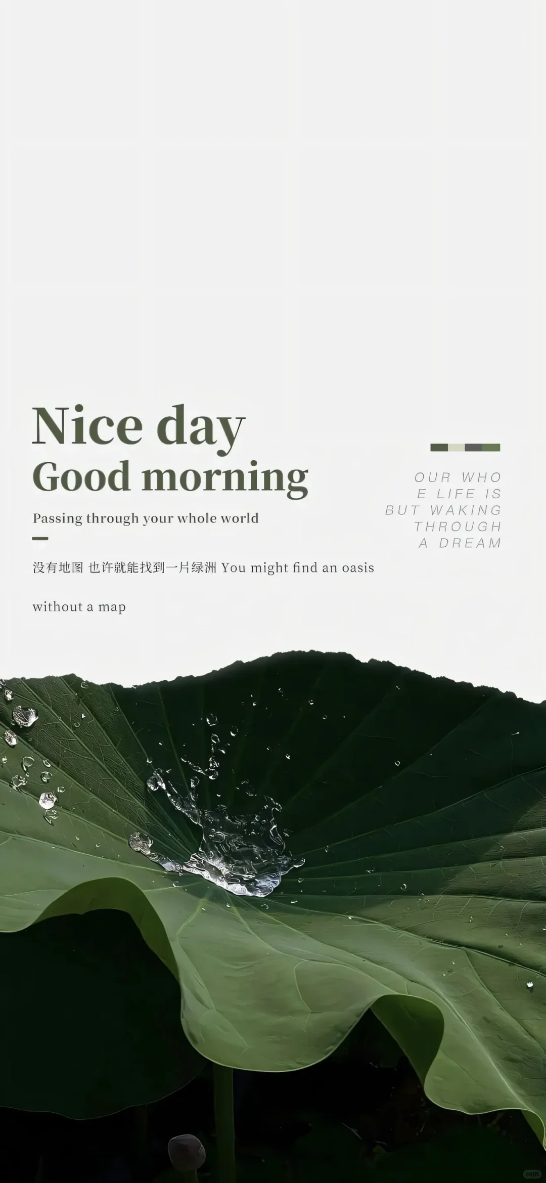 October 14, 2025 |壁纸