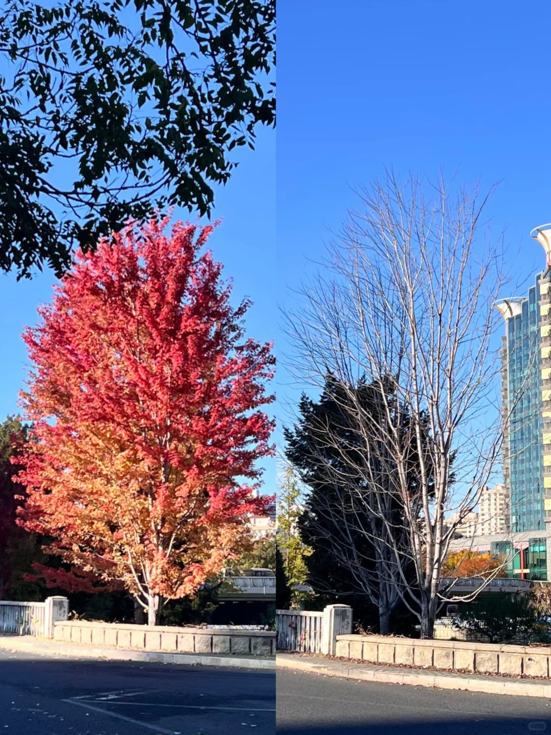 155/92 小个子的简单穿搭 保暖最重要