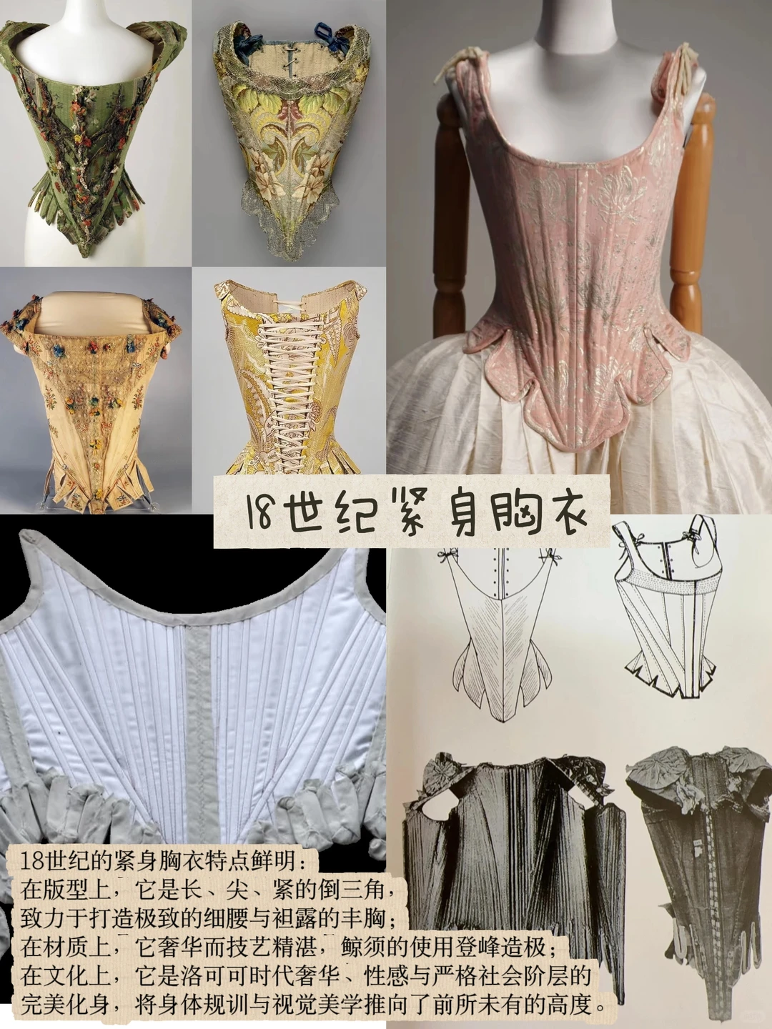 束缚与绽放｜鱼骨胸衣百年史