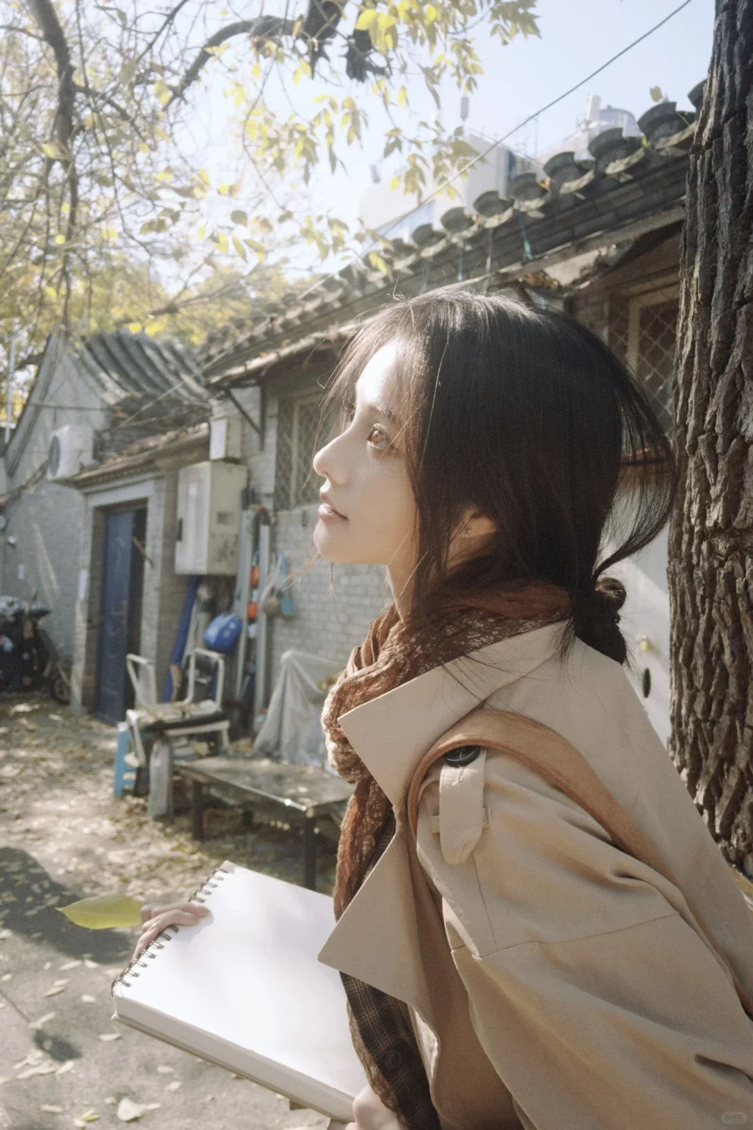 “城里来了位女作家”