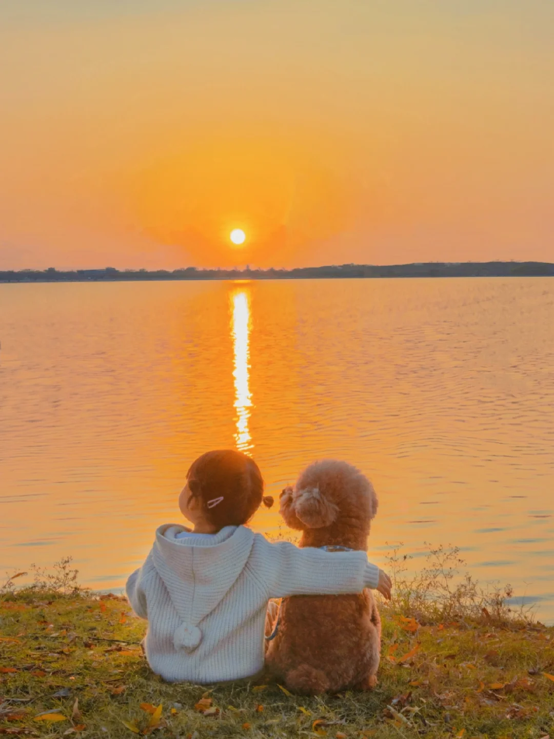 我们一起 看了那么那么多次日落🌅