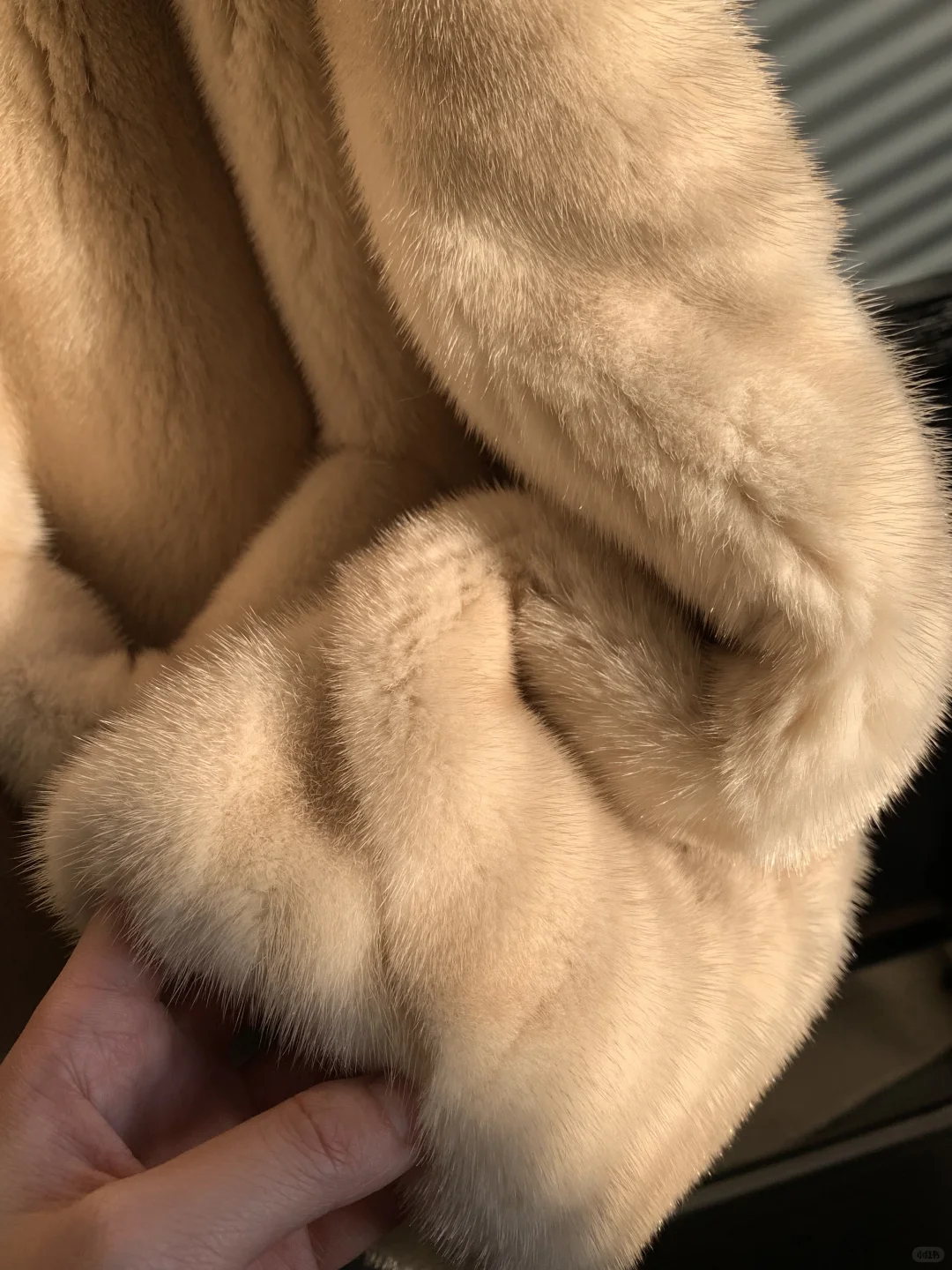 30年梦寐以求的珍宝貂 终于做出来了