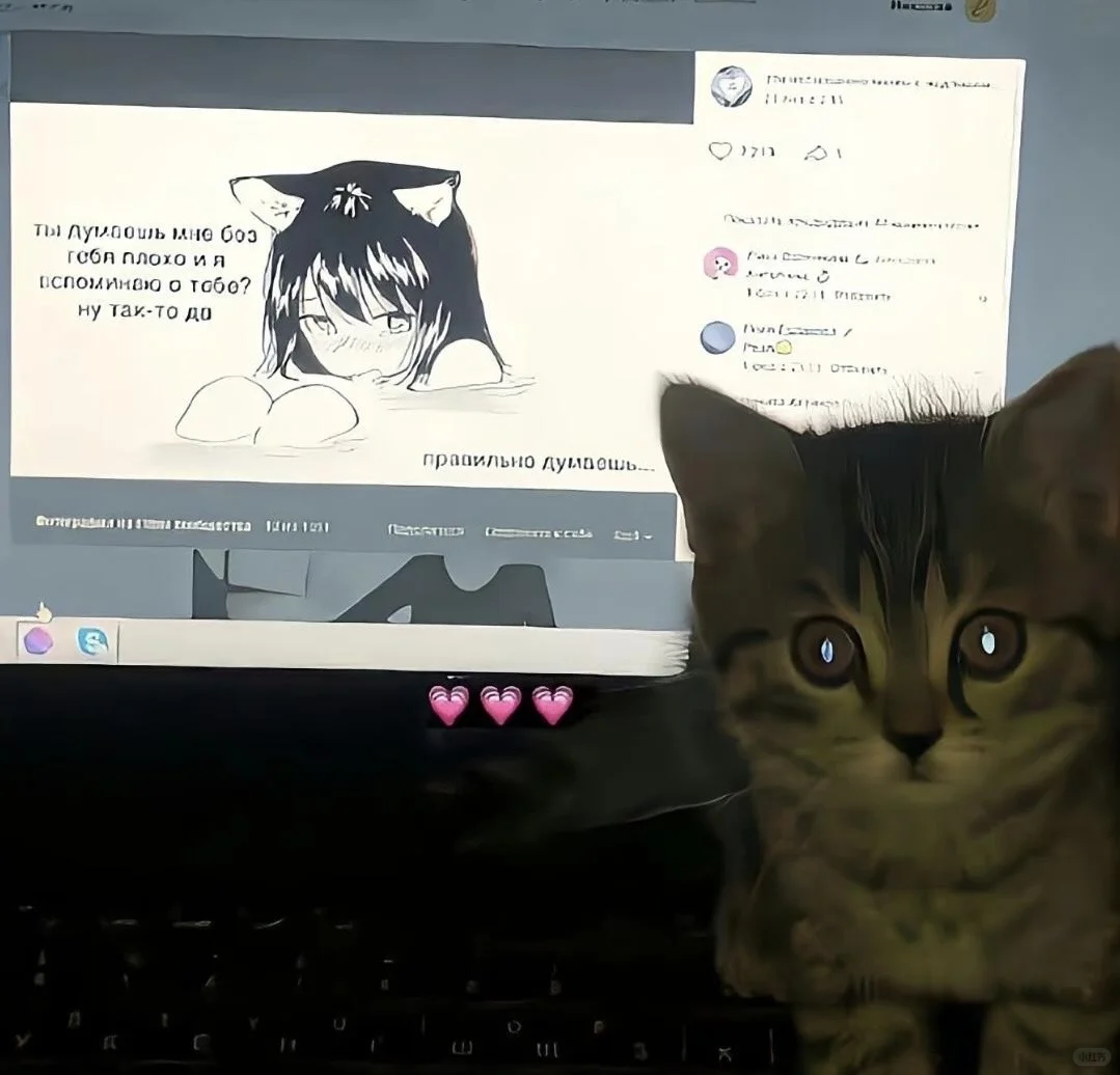 𝙒𝙚𝘾𝙝𝙖𝙩背景图｜小众小猫背景图