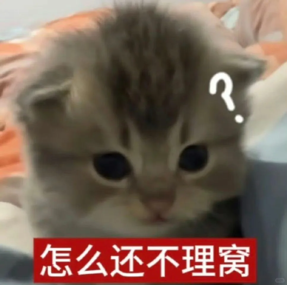 低脂小猫表情包2.0