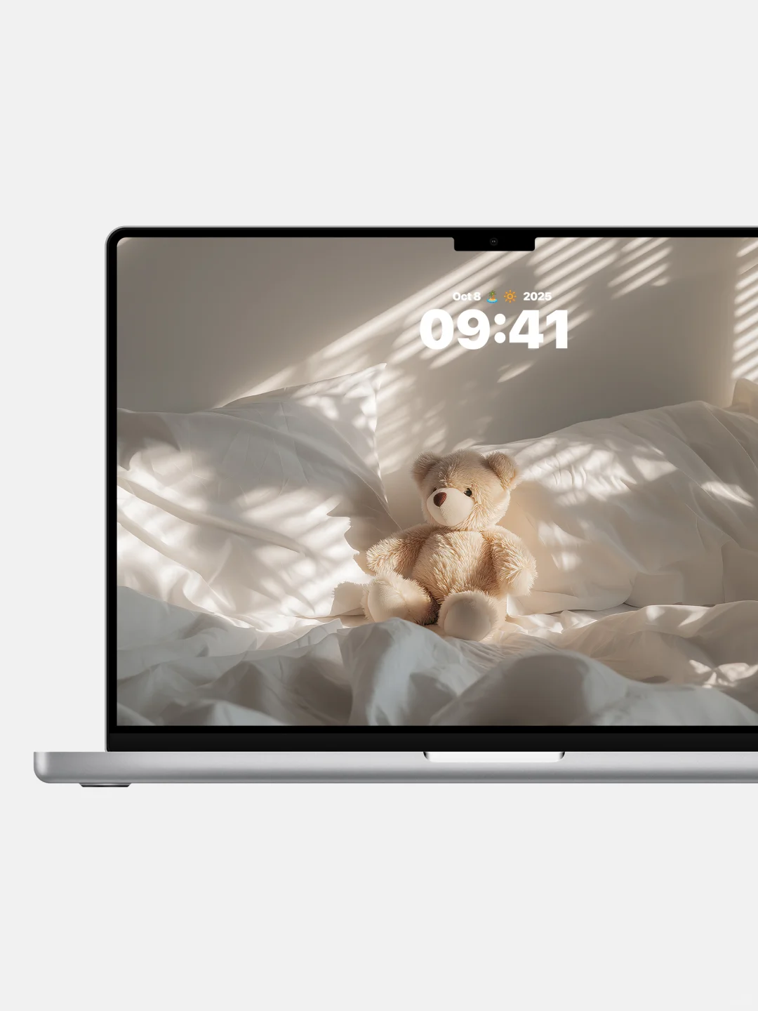 阳光吻过的泰迪早安熊🧸 | 治愈系壁纸