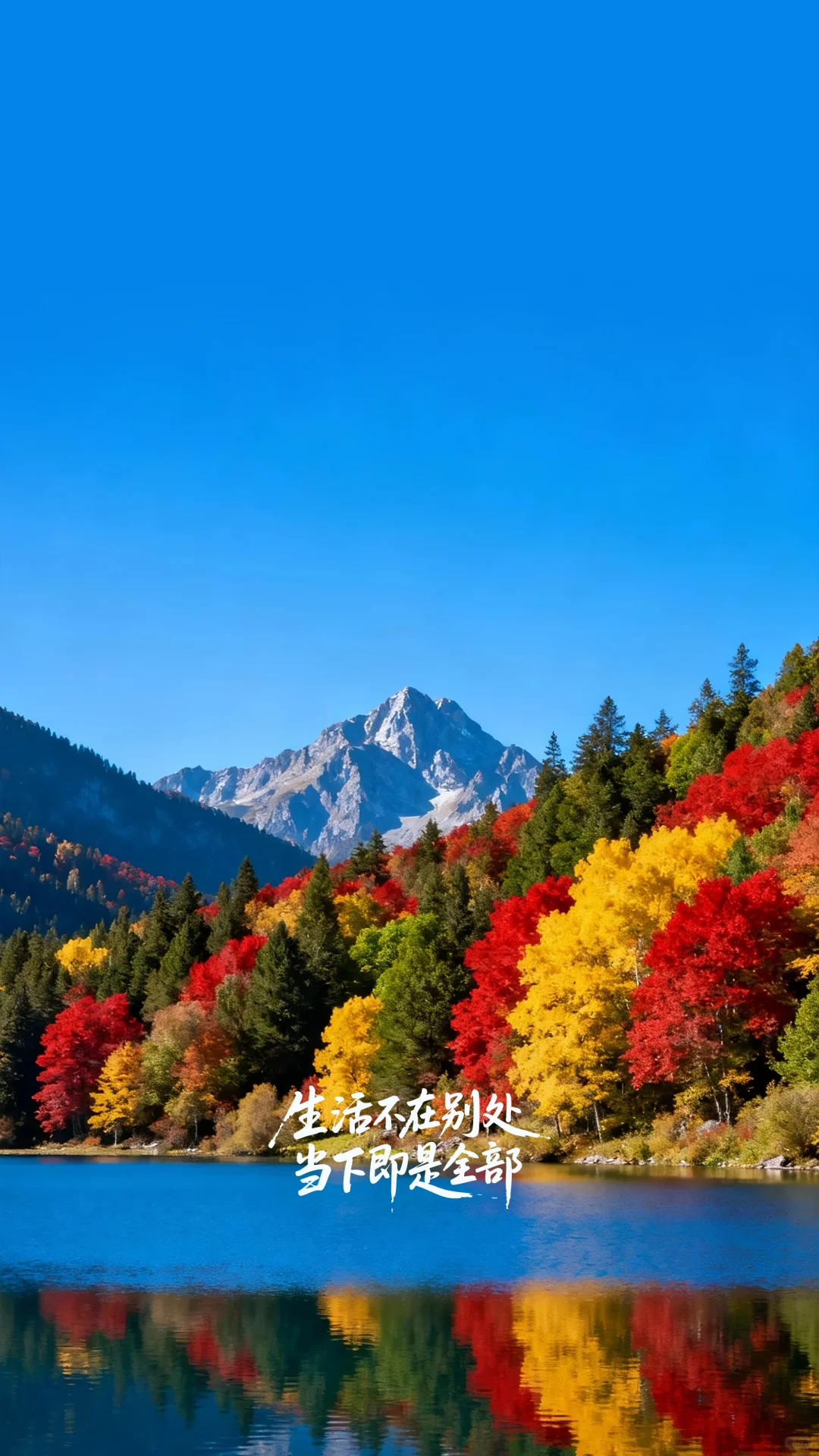 多彩风光与智慧的自然长卷高清壁纸