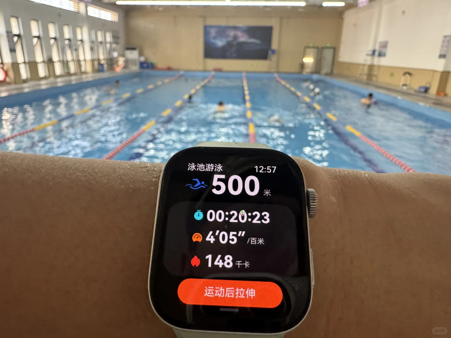 9月1号了，小孩儿们终于开学了