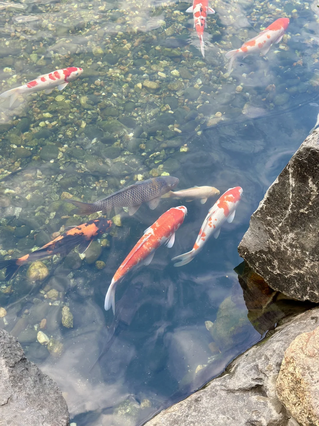 长这样如何起号