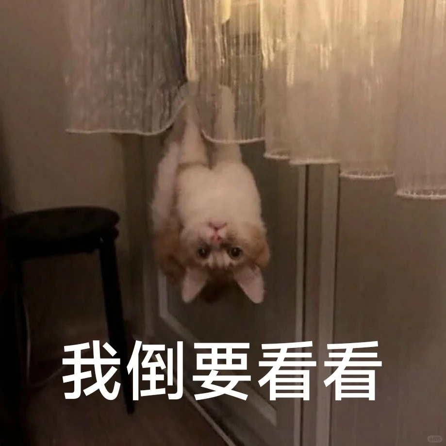 实用表情包合集