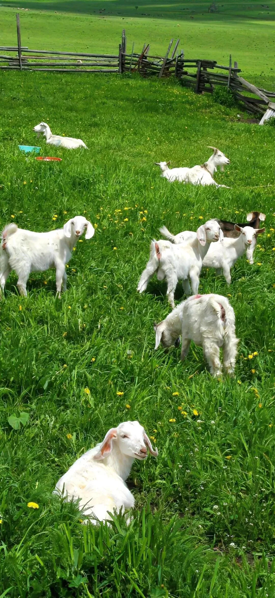 壁纸 | iOS绝美手机壁纸