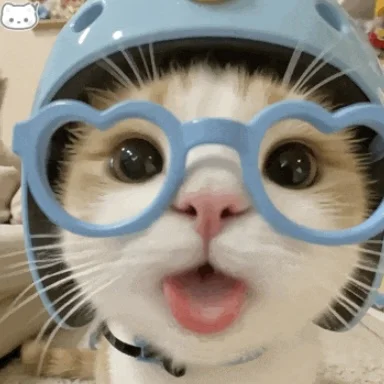 人 晚上嚎～ 你在干森莫🐱