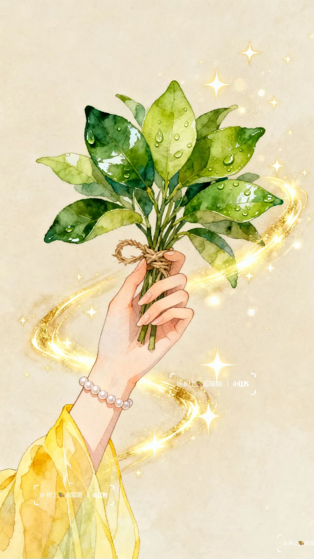 柚叶携运，向光而行