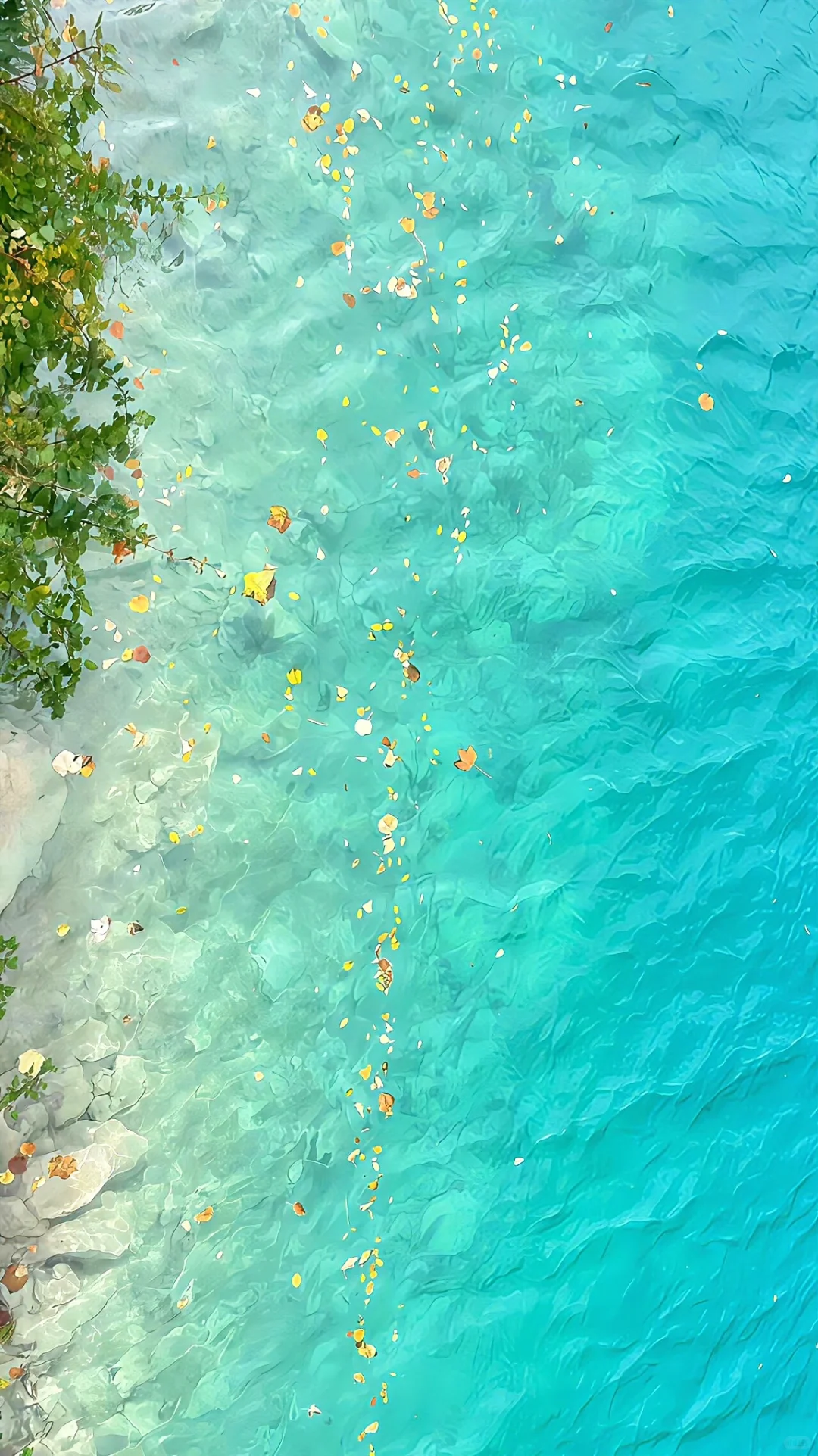 护眼壁纸｜是旷野，是自由🍊