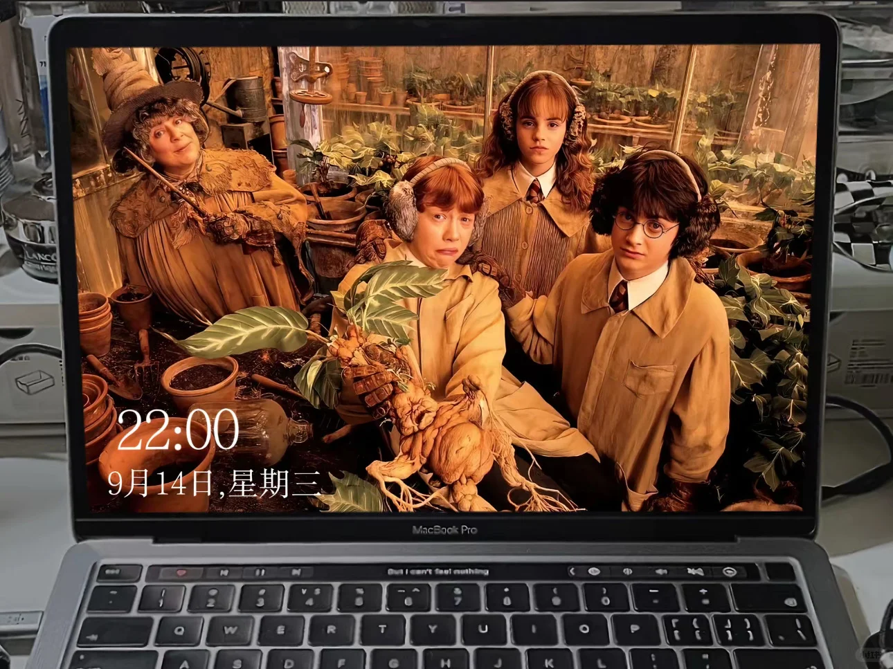 哈利波特超绝壁纸