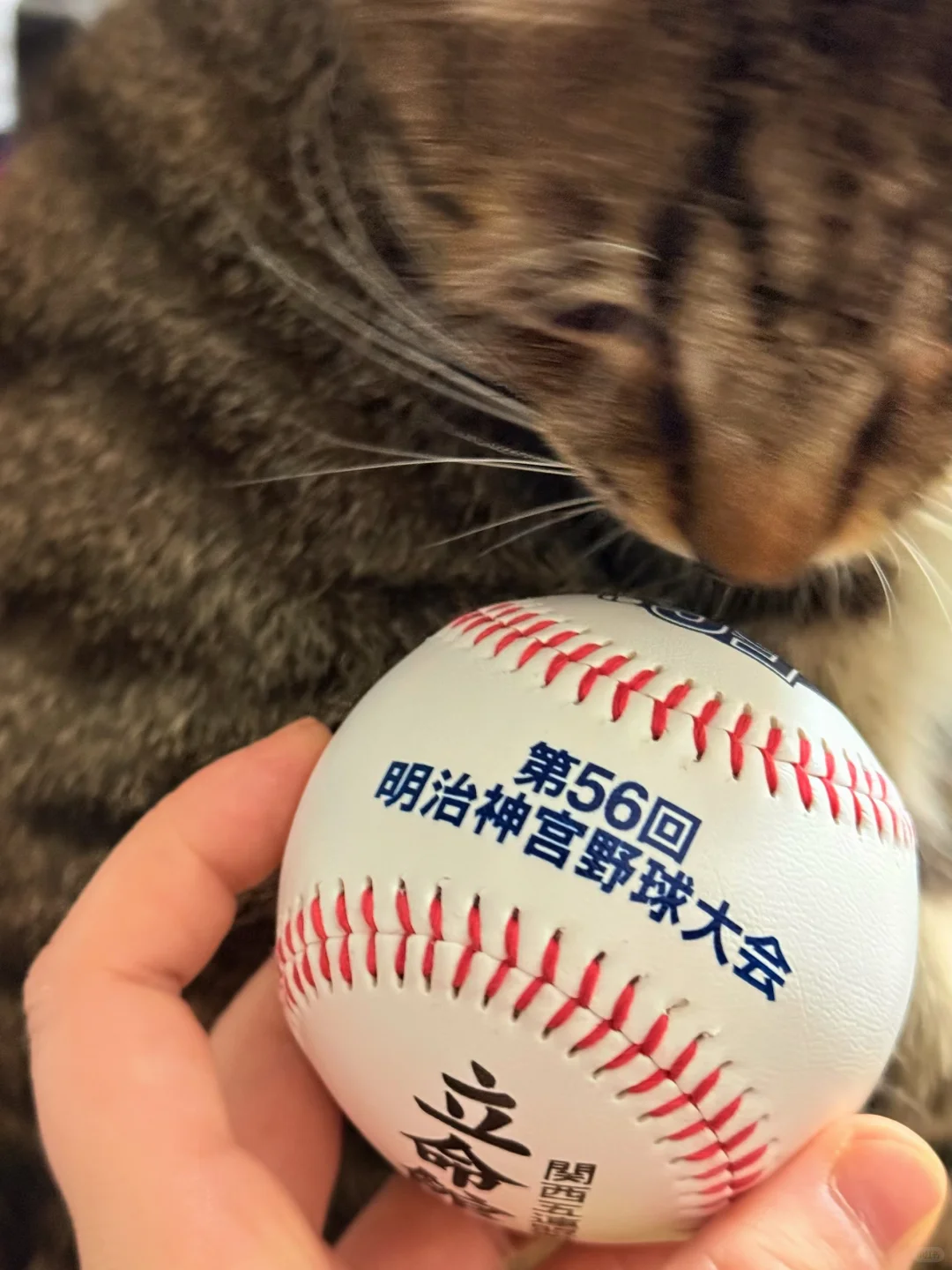 天使老师把我的命也立住了😭😭😭