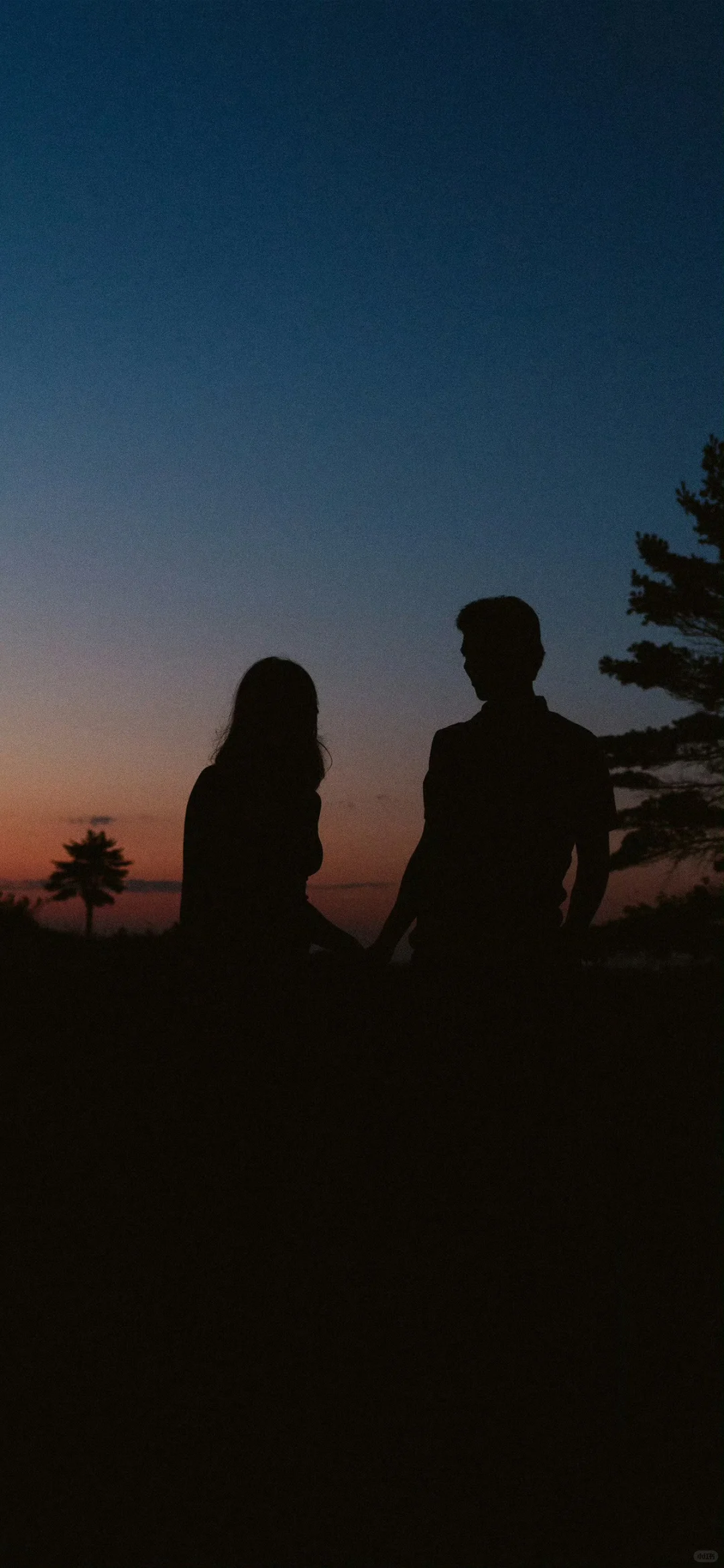 一组及其小众的壁纸