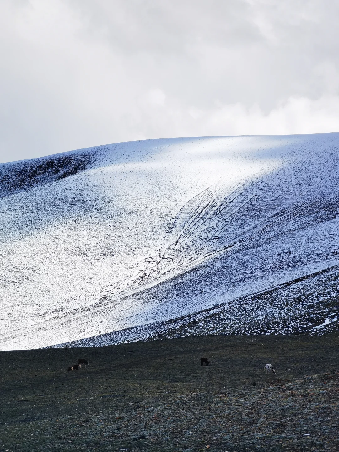 长沙离异找对象，男找女
