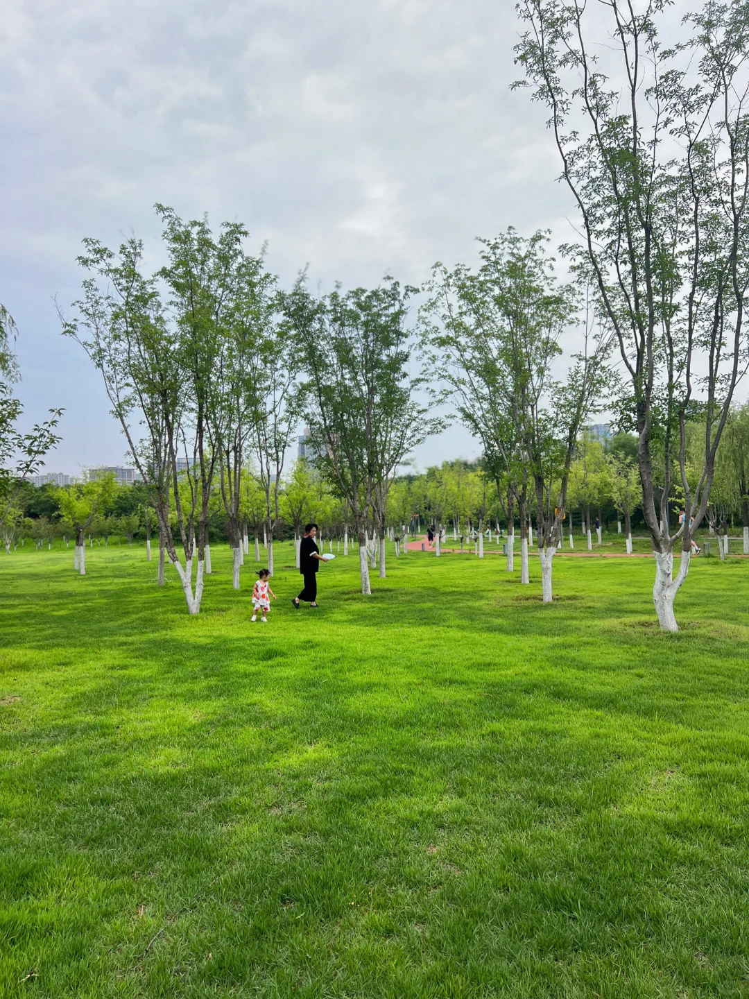 夏天 晨跑🏃‍♀️