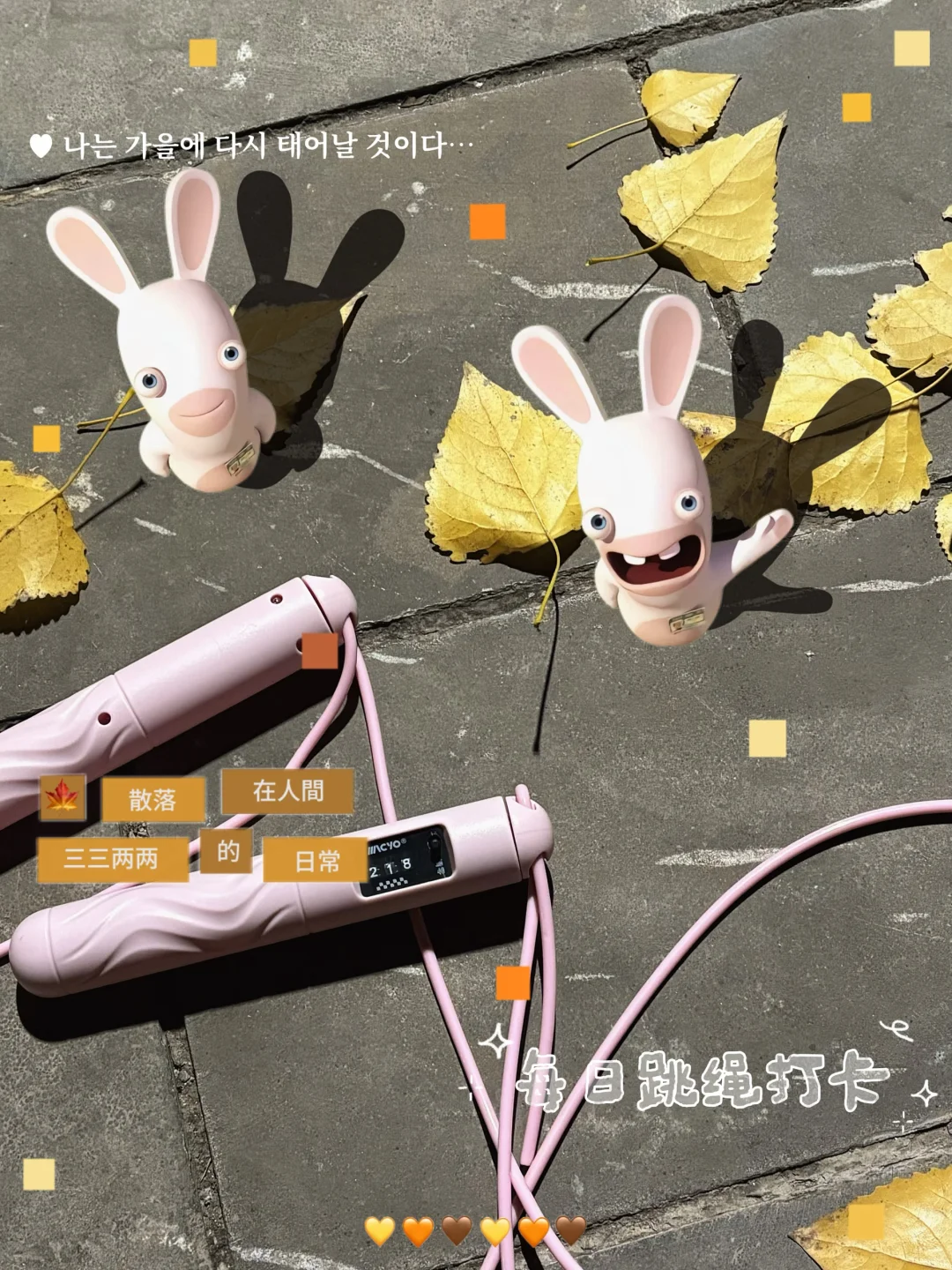 plog｜女大学生减肥 运动 学习 好好生活！