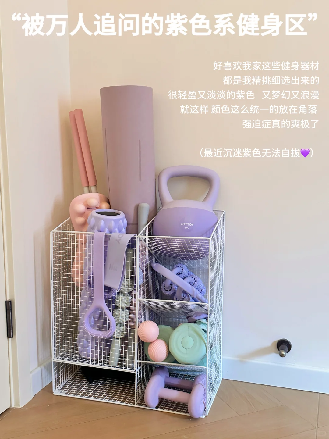 被万人追问的紫色系🍇健身器材！！
