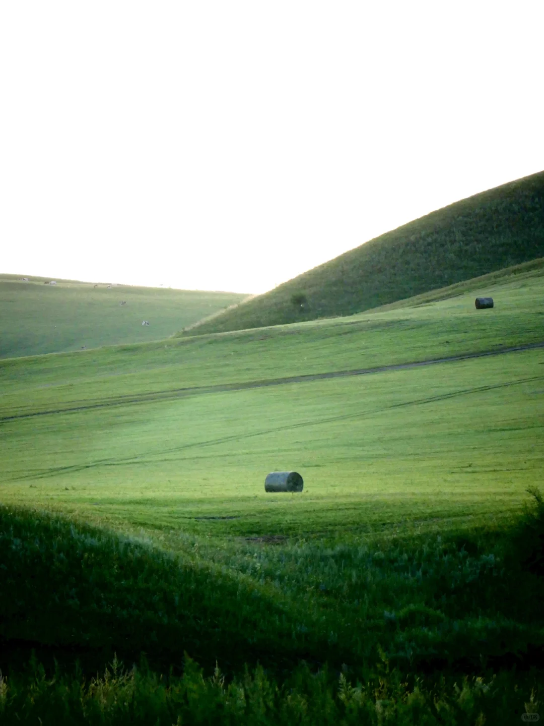 Windows桌面get，牛马牛马～电脑前面你和我～