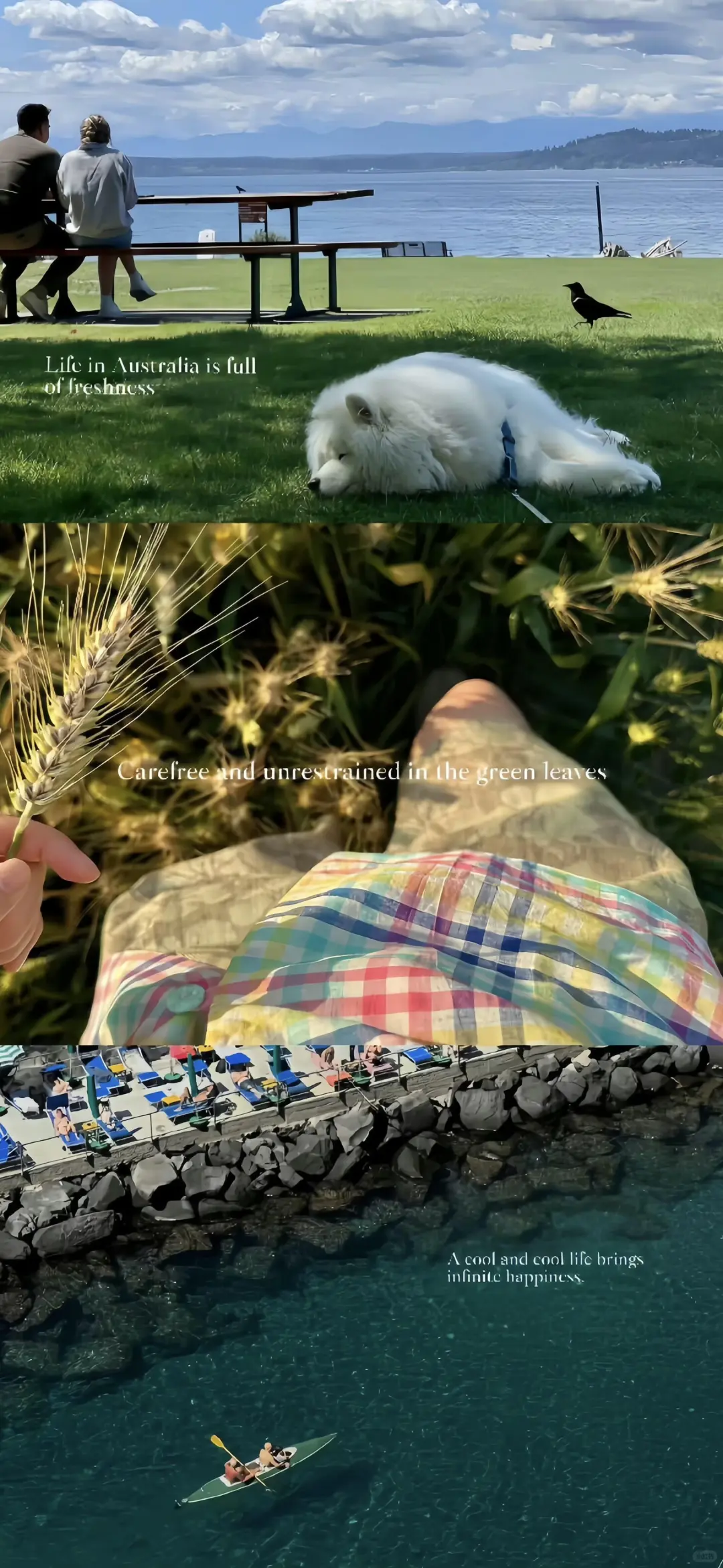 ♡ 𝗦𝗵𝗮𝗿𝗲丨这种风格的壁纸我猜你会喜欢