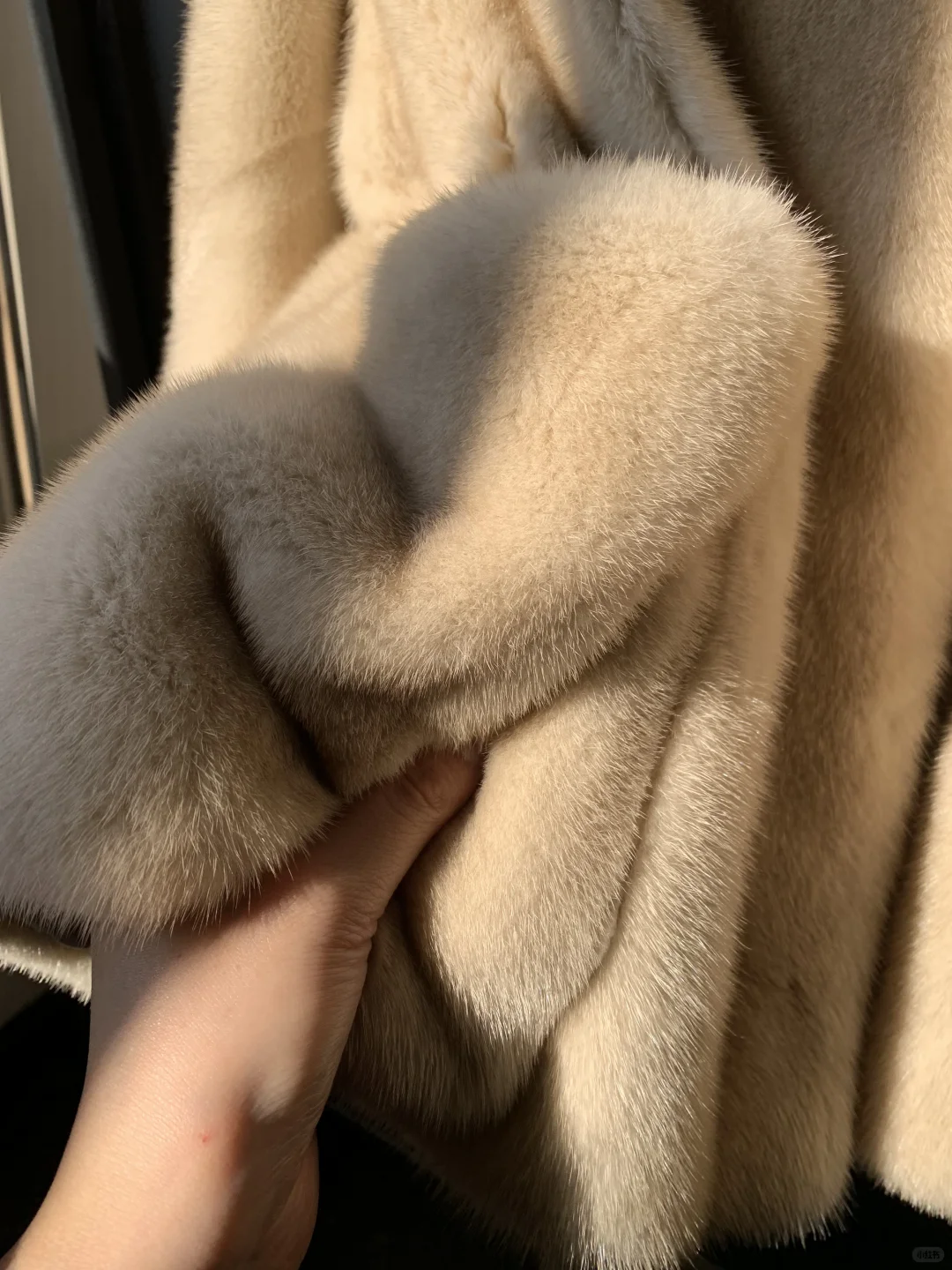 30年梦寐以求的珍宝貂 终于做出来了