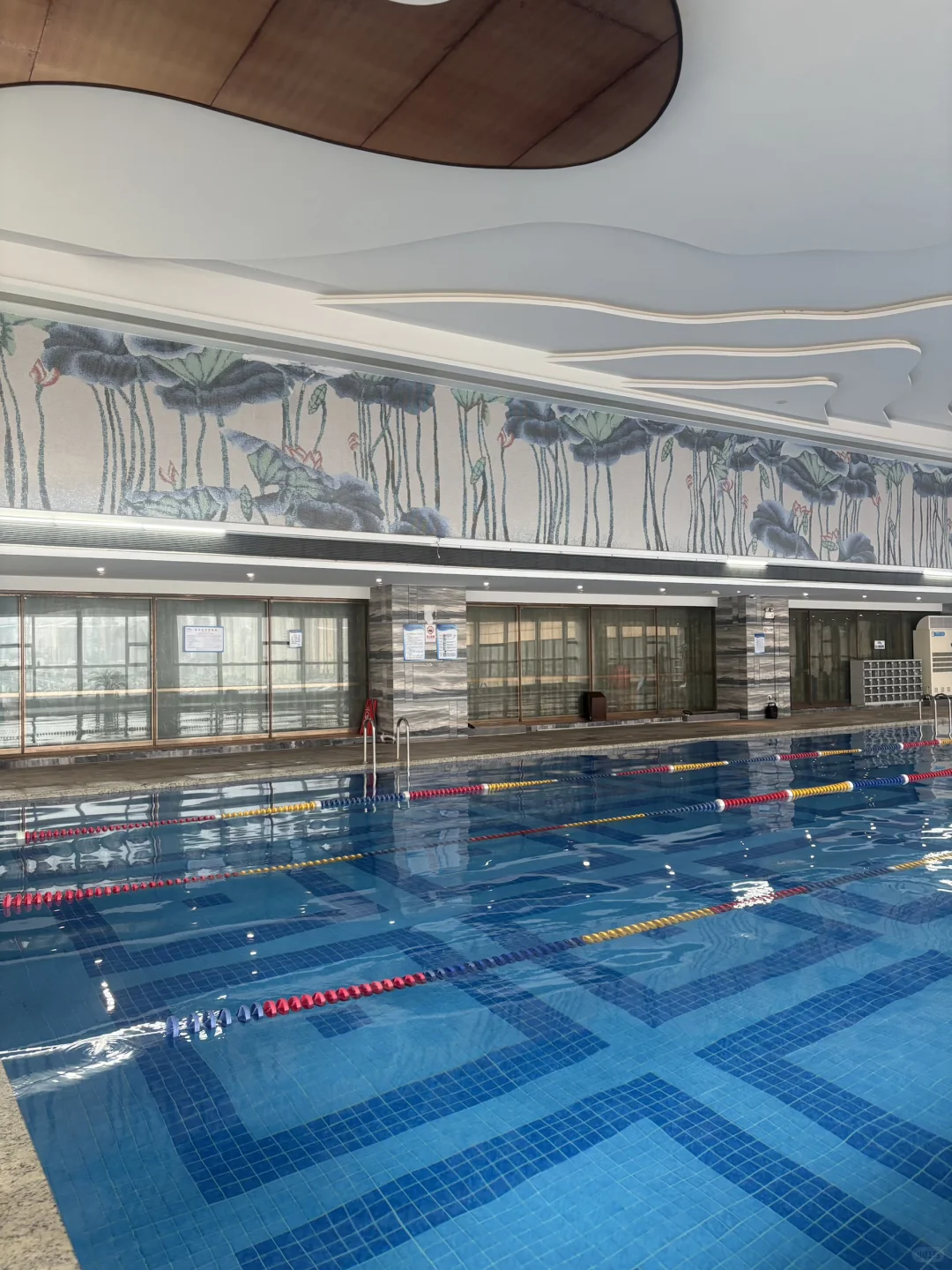 长沙学游泳｜被女教练宠成“旱鸭子救星”谁懂