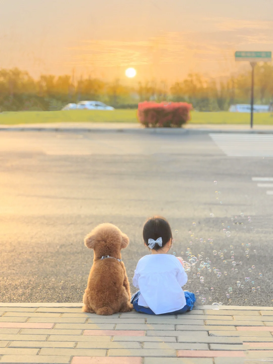 我们一起 看了那么那么多次日落🌅