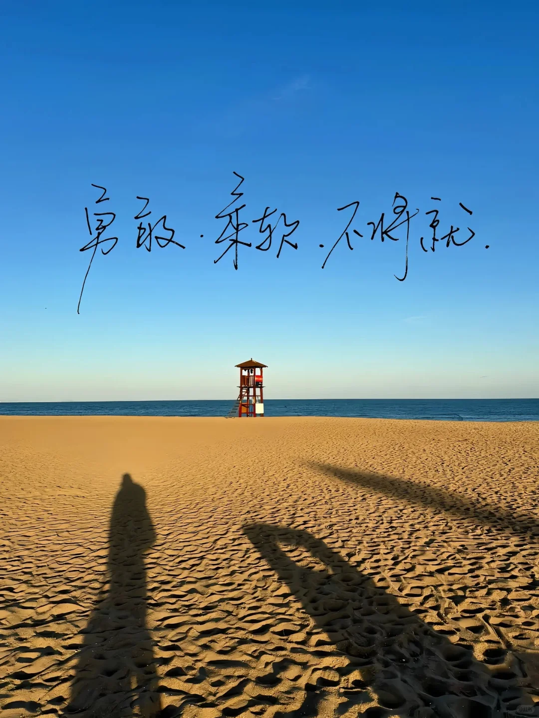 光与海，晨起的馈赠🌅