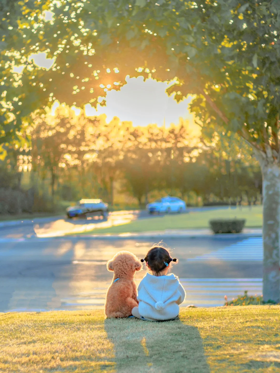 我们一起 看了那么那么多次日落🌅